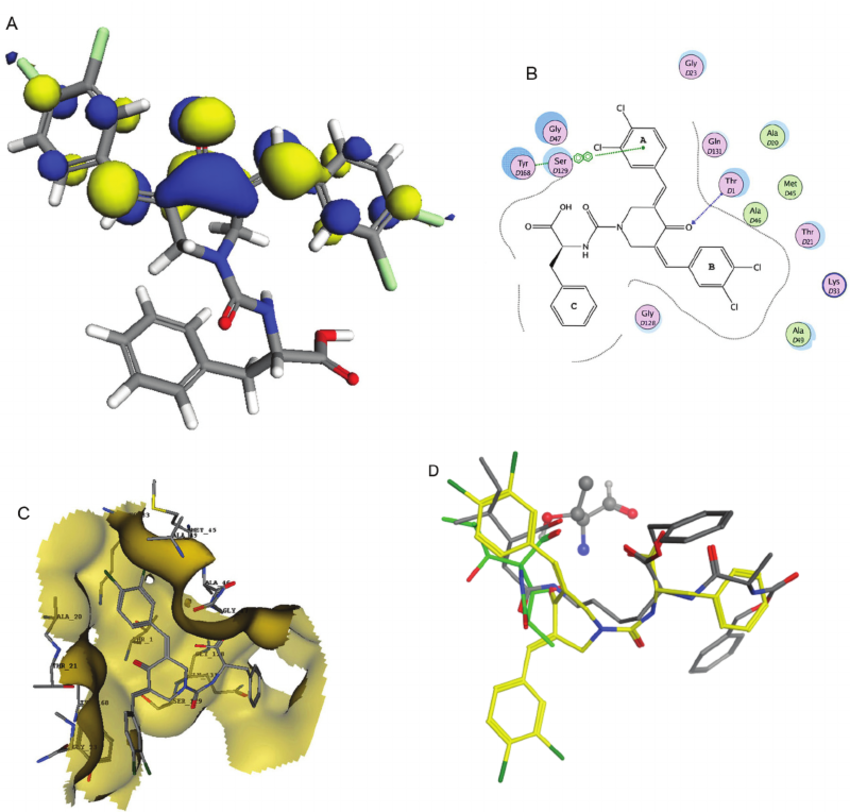 Docking simulation of lead compound 2 to 20S proteasome. (A.