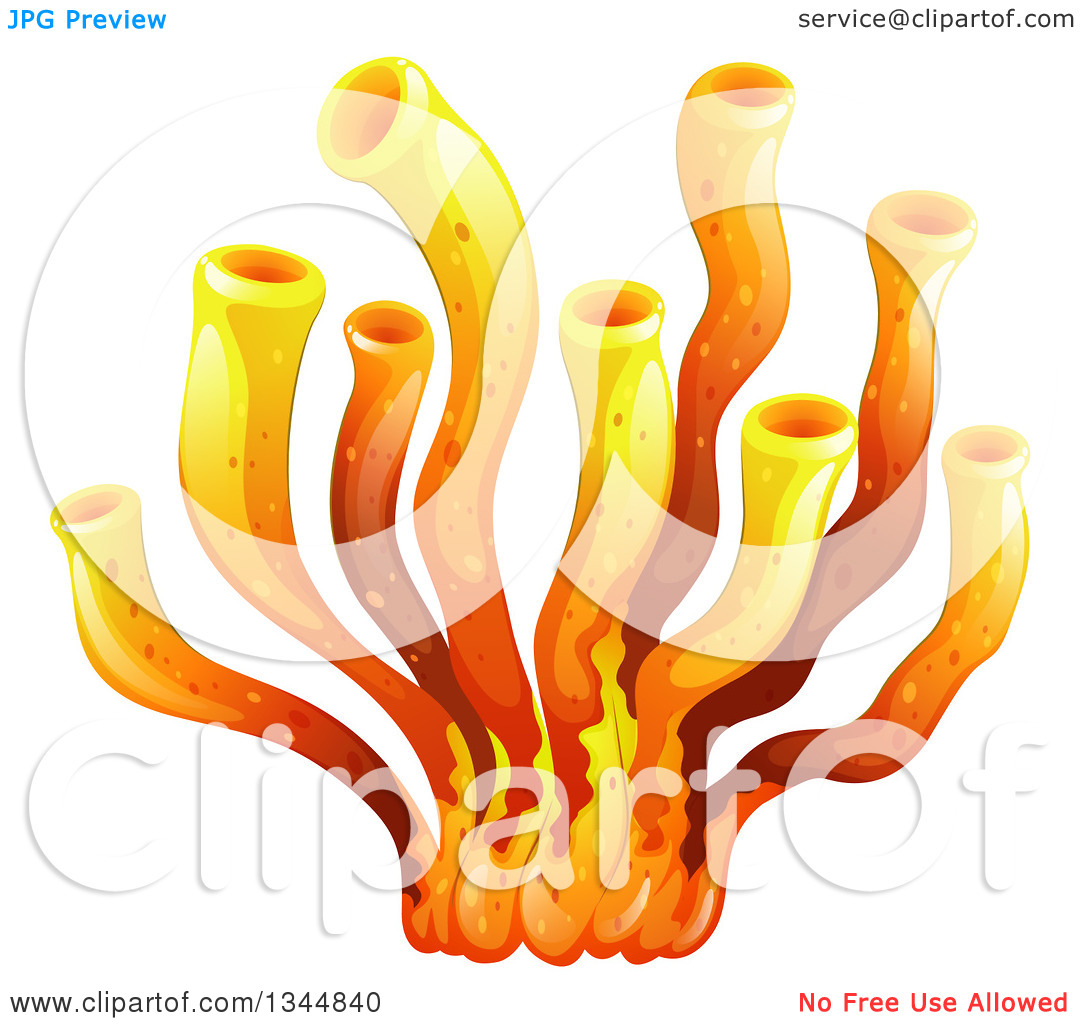 Clipart of Tube Worm Coral.