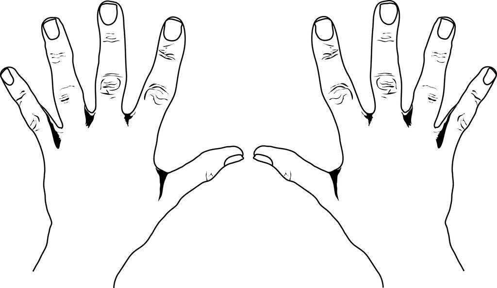 Fingers And Toes Clipart.