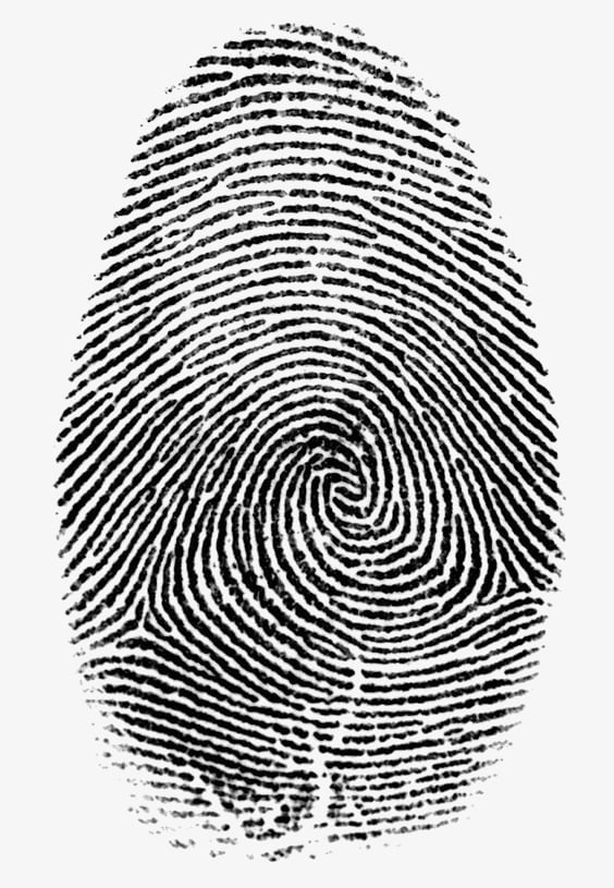 fingerprint patterns