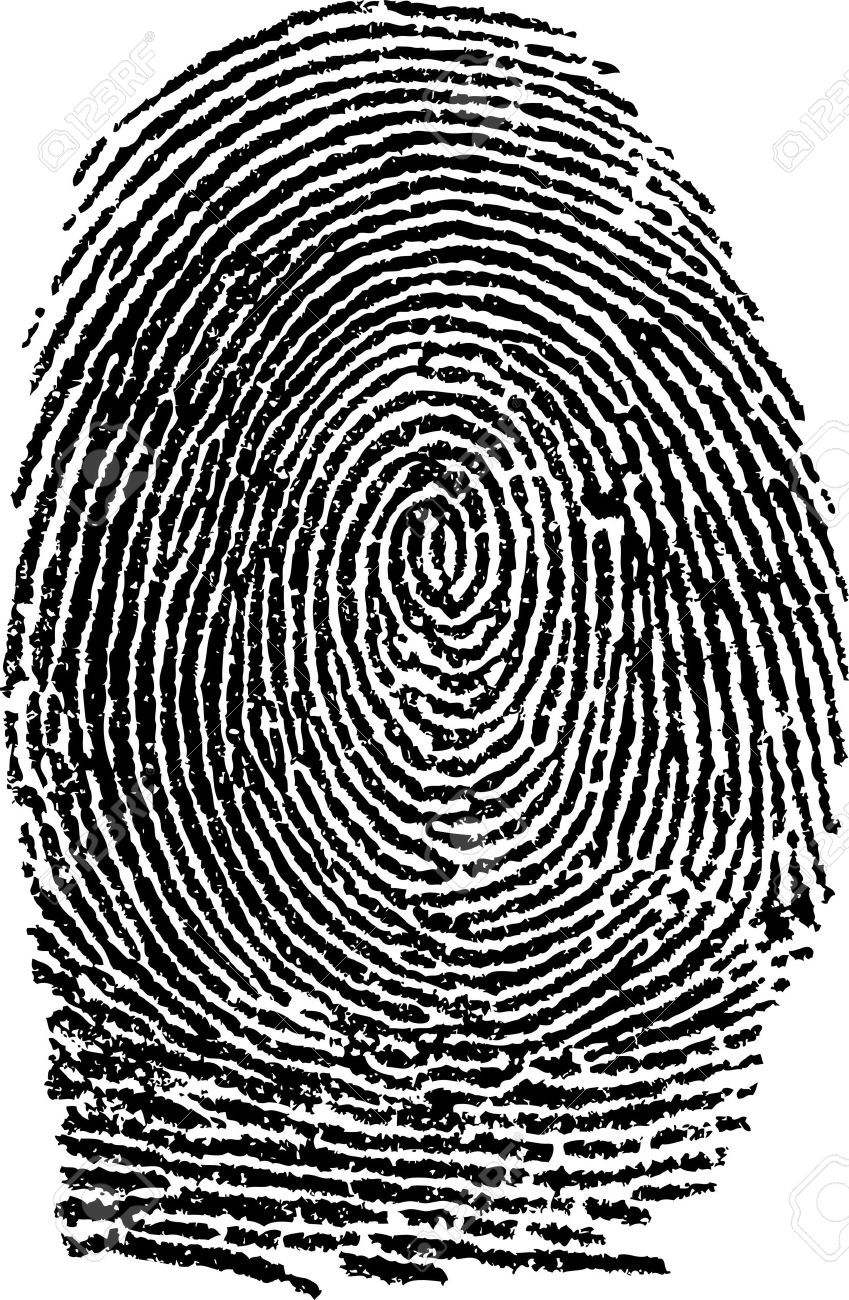 fingerprint /vector/.