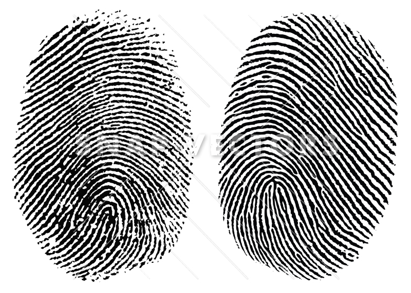 Fingerprint clip art.