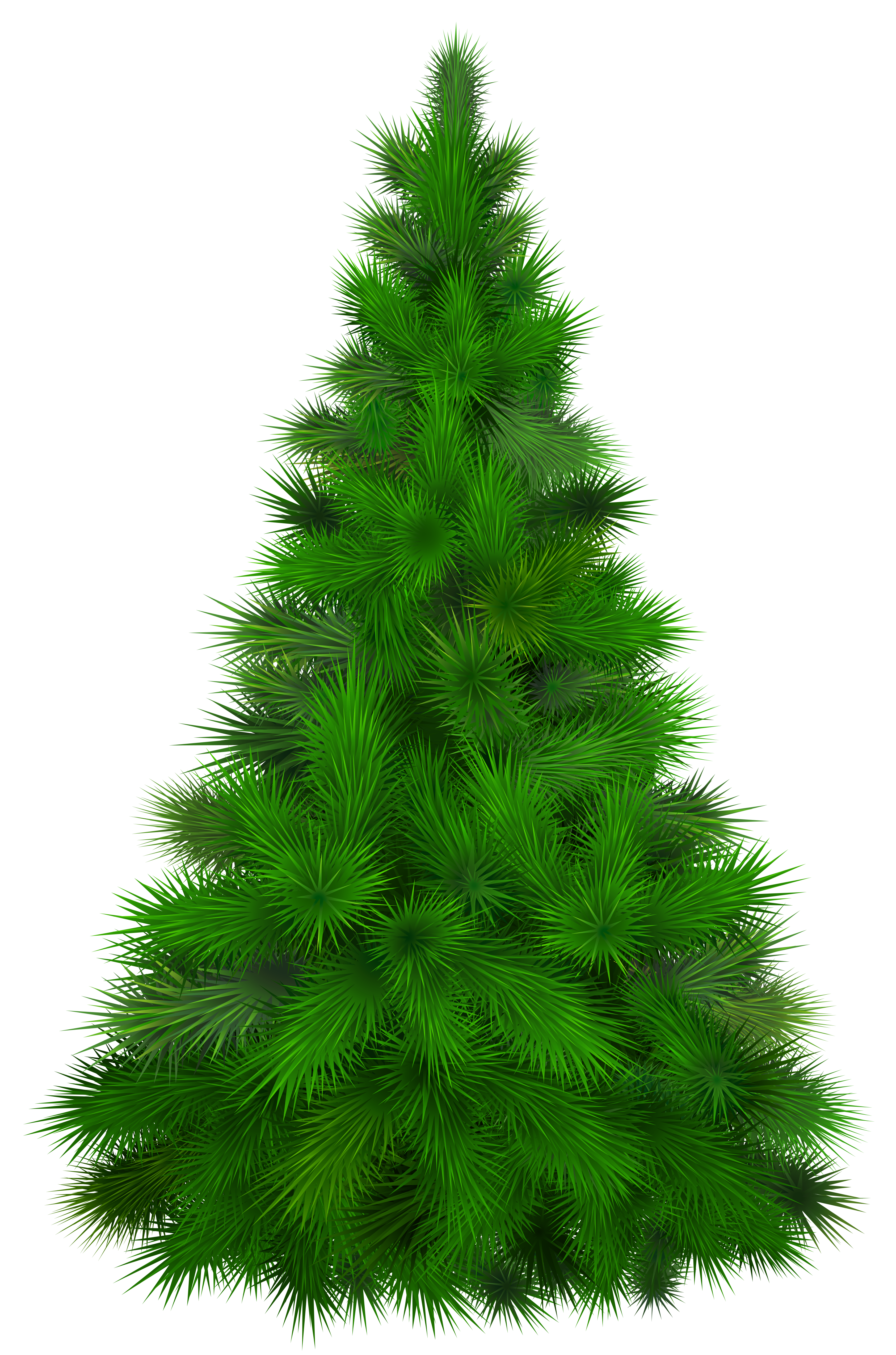 Fir green clipart - Clipground