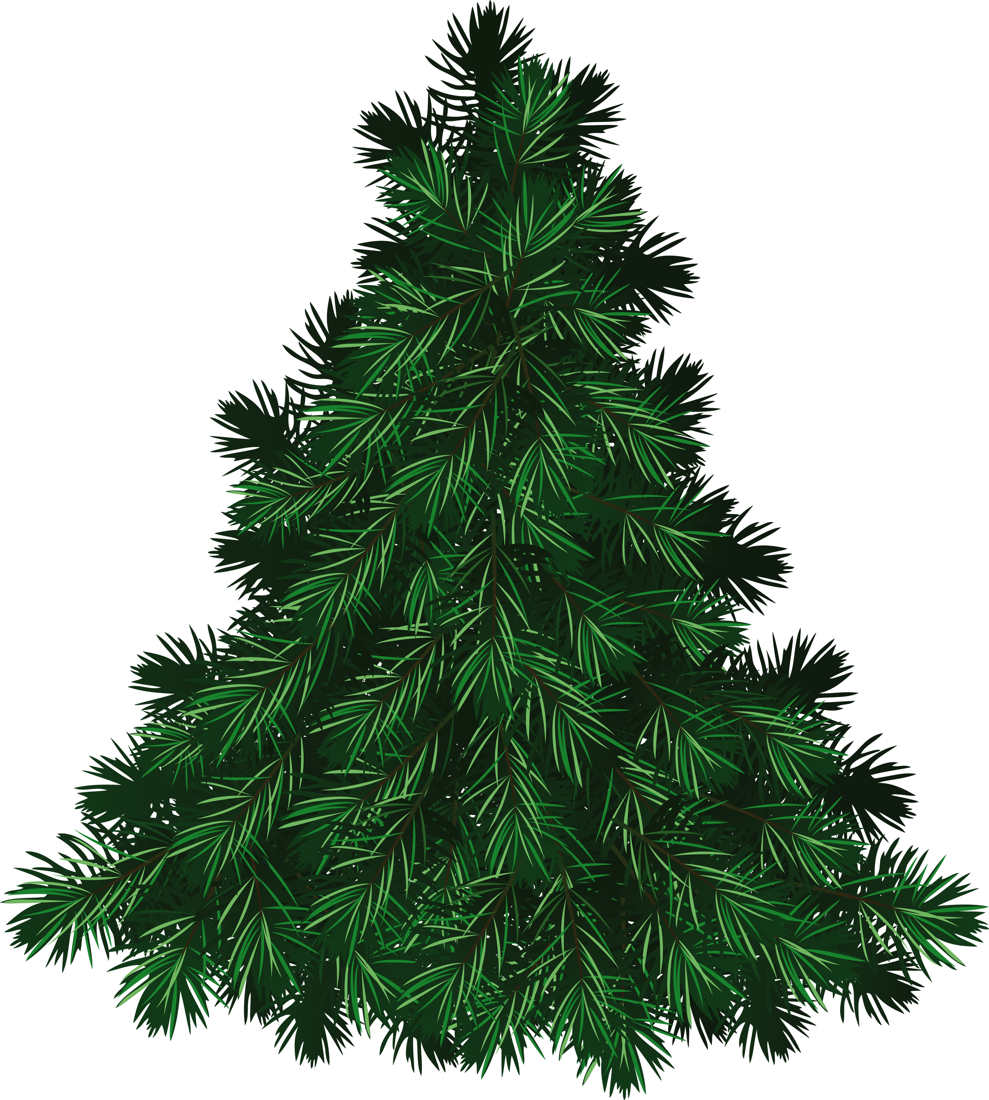 Fir Green Clipart 20 Free Cliparts Download Images On Clipground 2023