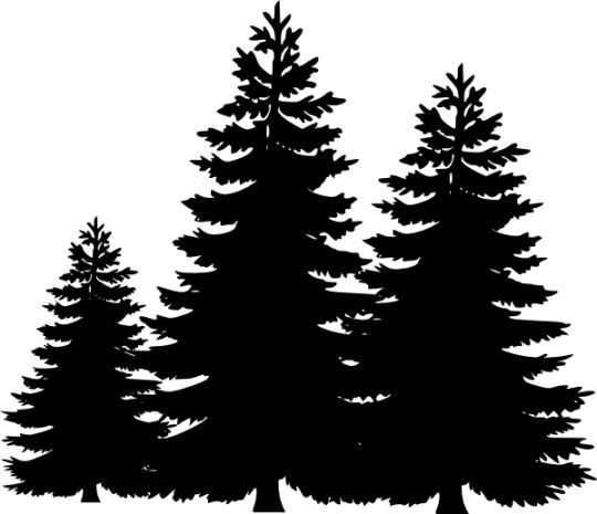 1000+ ideas about Pine Tree Silhouette on Pinterest.