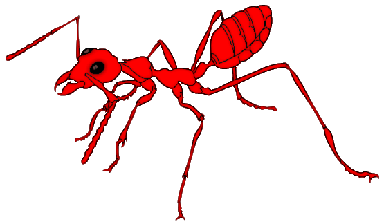 Fire Ant Clipart.