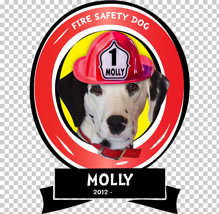 Dalmatian dog Fire safety Dog breed Fire prevention, fire.