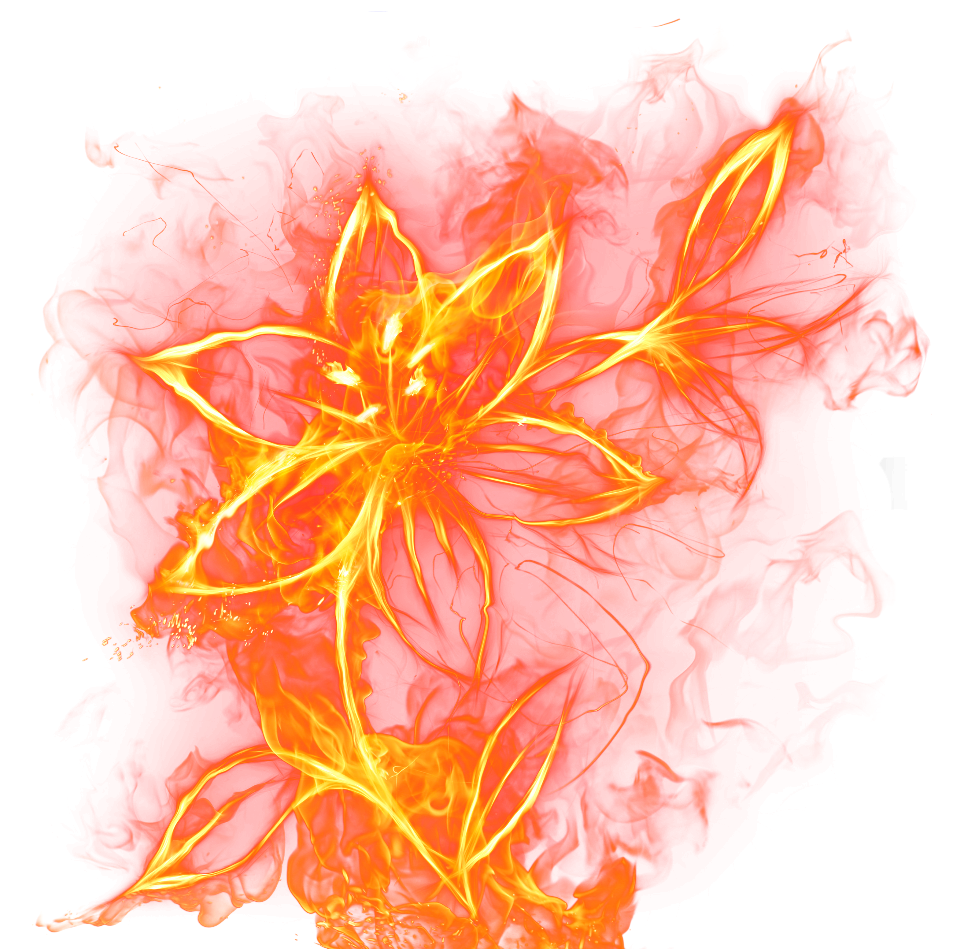 Beautiful Fire Flower PNG Clipart Picture.