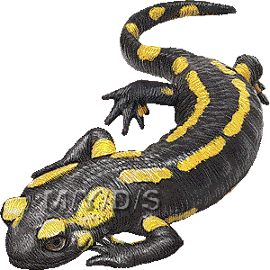 Fire Salamander clipart graphics (Free clip art.