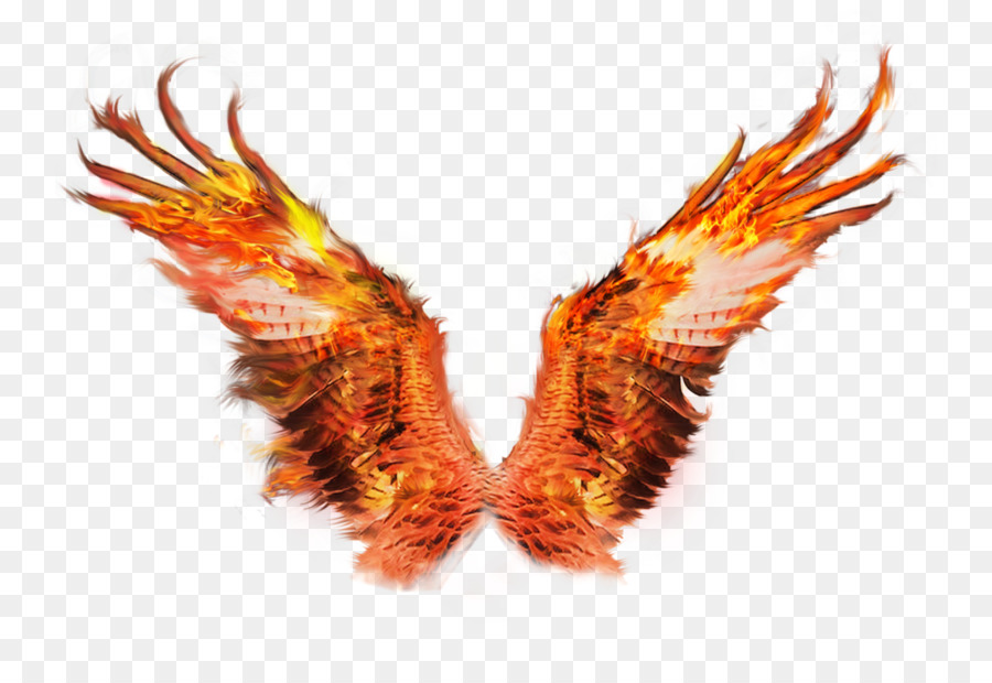 Wings Of Fire png download.