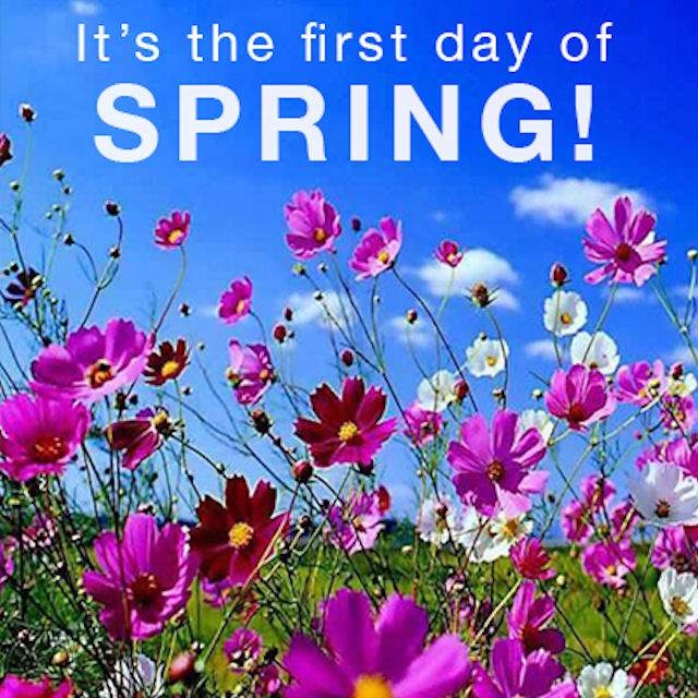 It's The First Day Of Spring Pictures, Photos, and Images for.