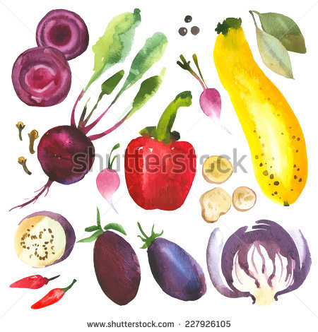 Vector radish for free download about (5) vector radish. sort by.