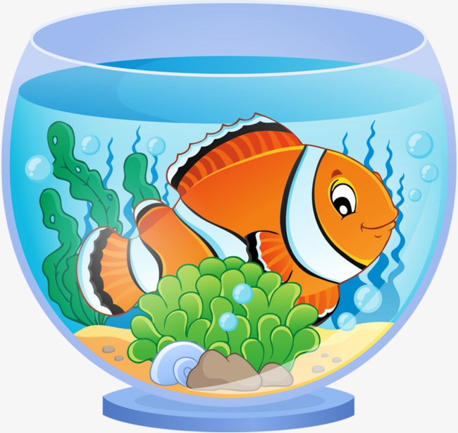 fish aquarium clipart 10 free Cliparts | Download images on Clipground 2023