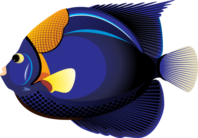 Fish Clip Art Color.