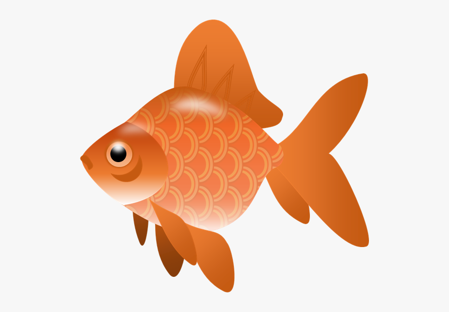 Fish Clip Art Free Fish Sketch Clip Art Vector Clip.