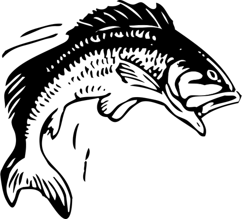 364 fish free clipart.