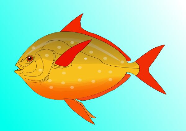 Colorful Fish In Water Clip Art at Clker.com.