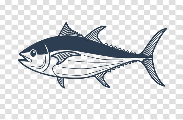 Best Fish Logos Designs Clip Art Illustrations, Royalty.