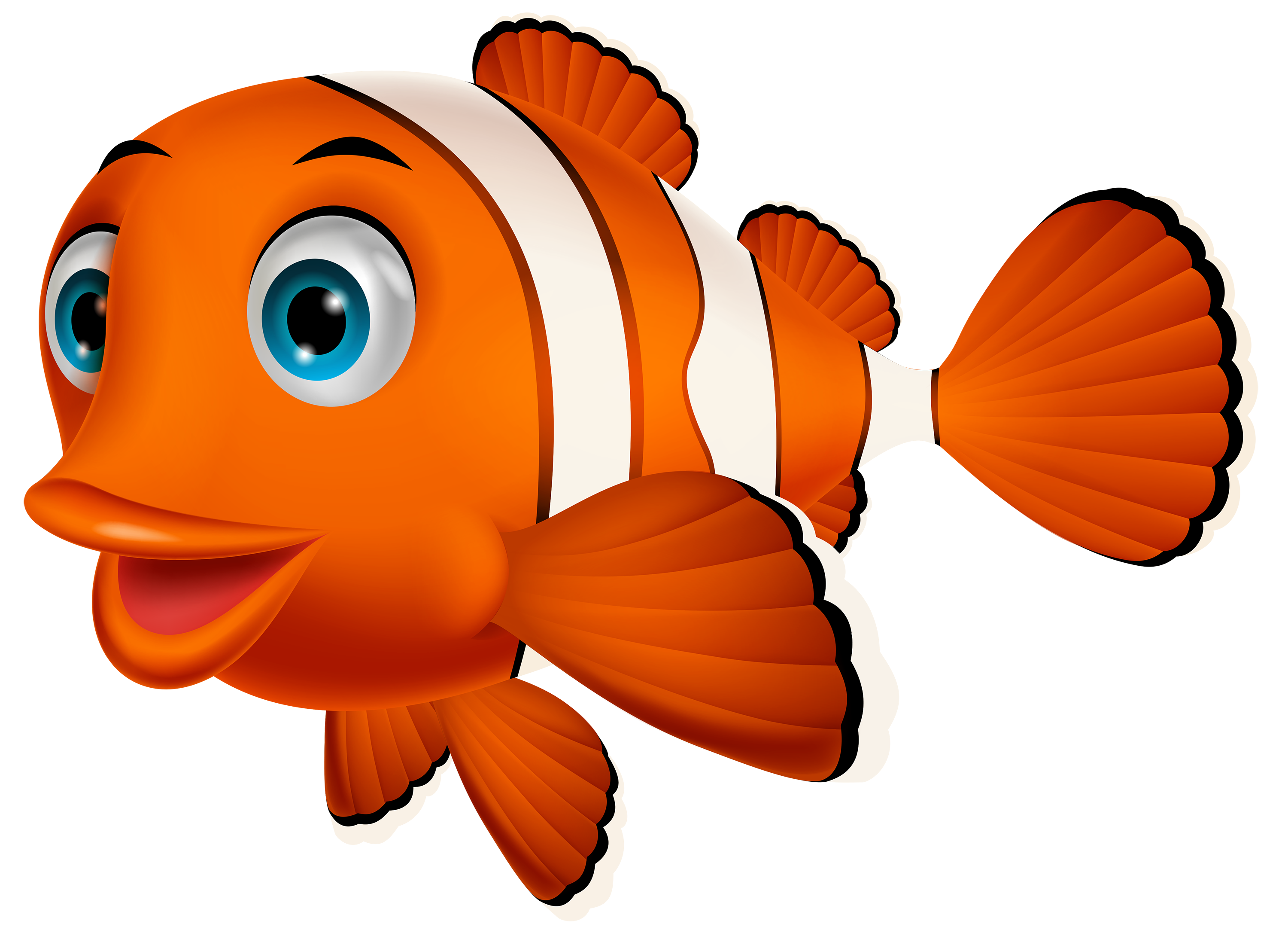 Clown fish PNG Clipart.