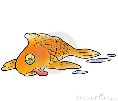 Dead Fish Clipart & Dead Fish Clip Art Images.