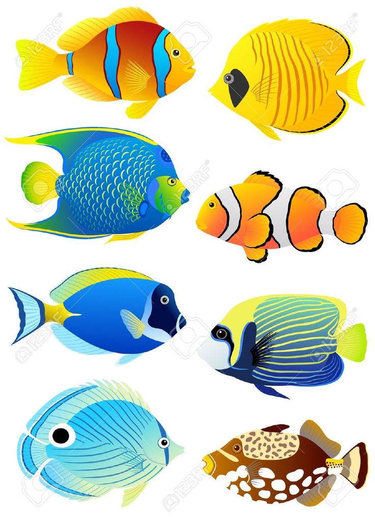 solid-color-fish-clipart-20-free-cliparts-download-images-on