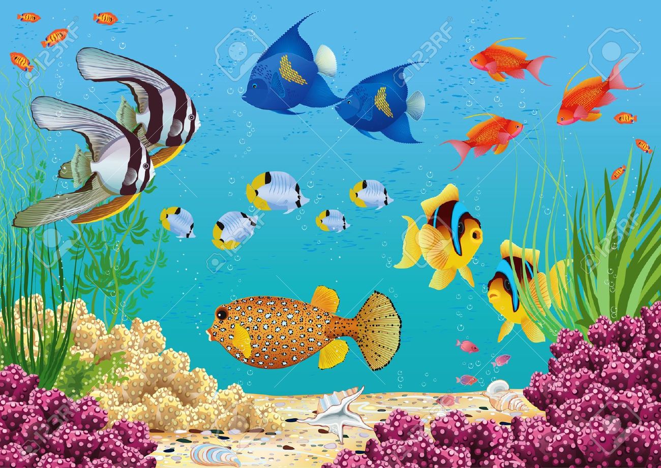 Download fish water plants clipart 20 free Cliparts | Download ...