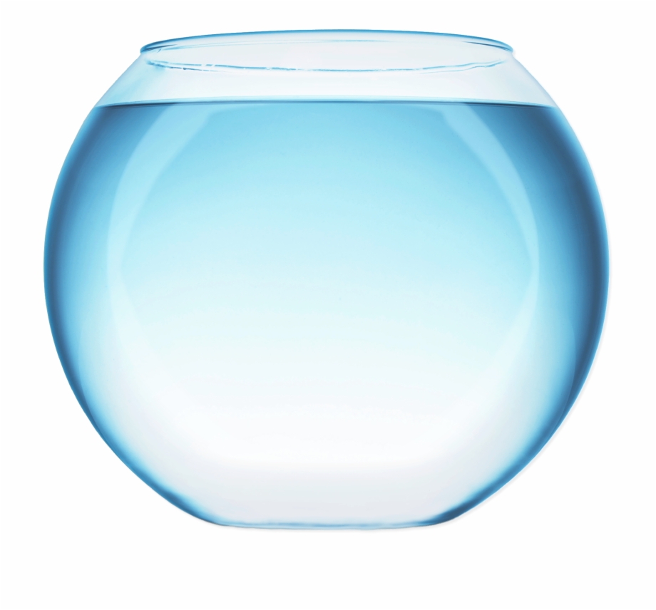 fishbowl png 10 free Cliparts | Download images on Clipground 2023