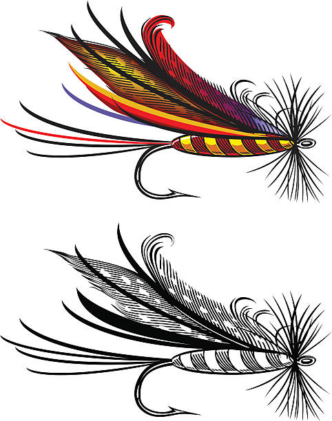 Best Fly Fishing Illustrations, Royalty.