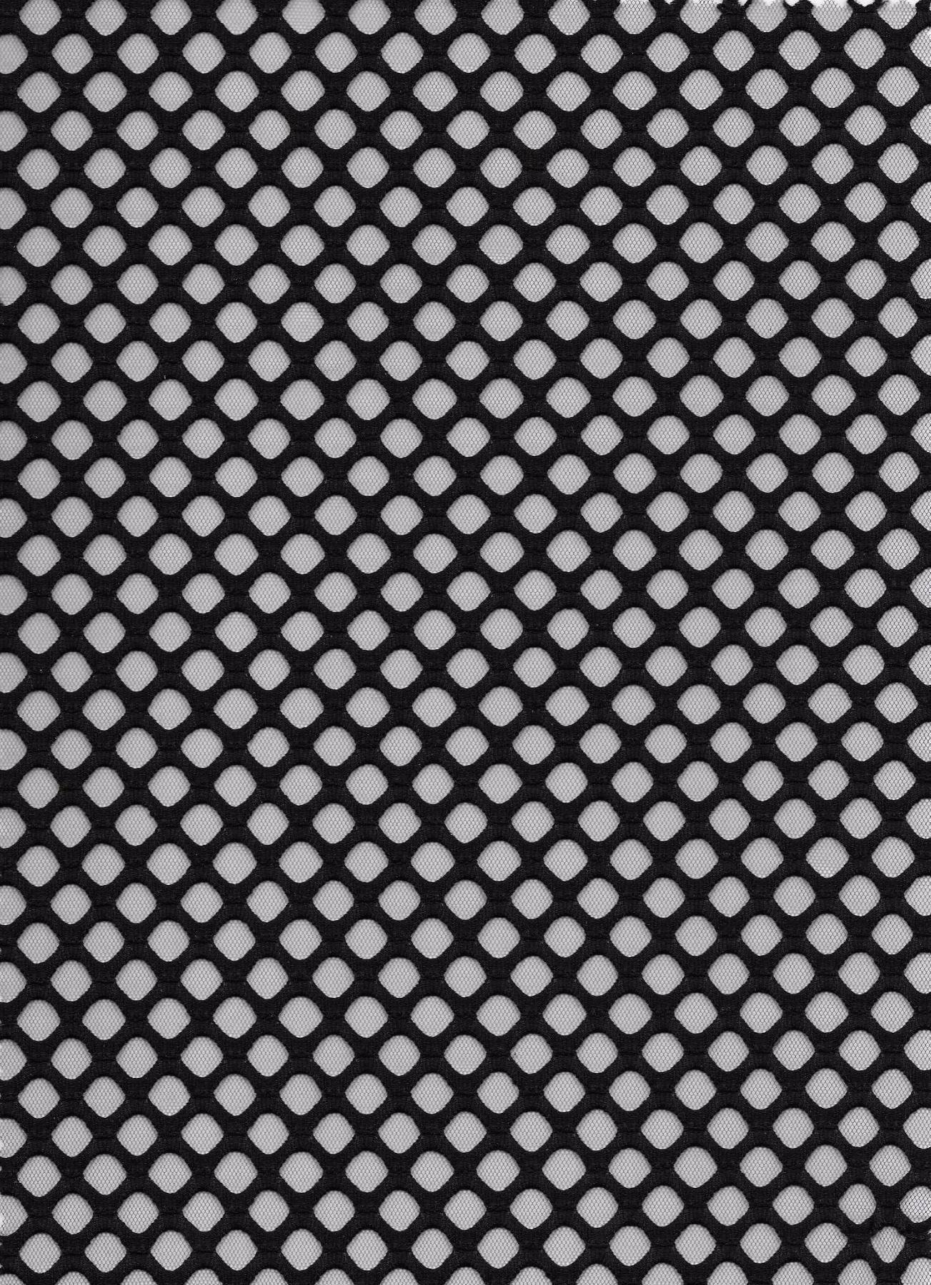 Fishnet Png (+).