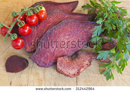 Beefsteak Fungus Stock Photos, Royalty.