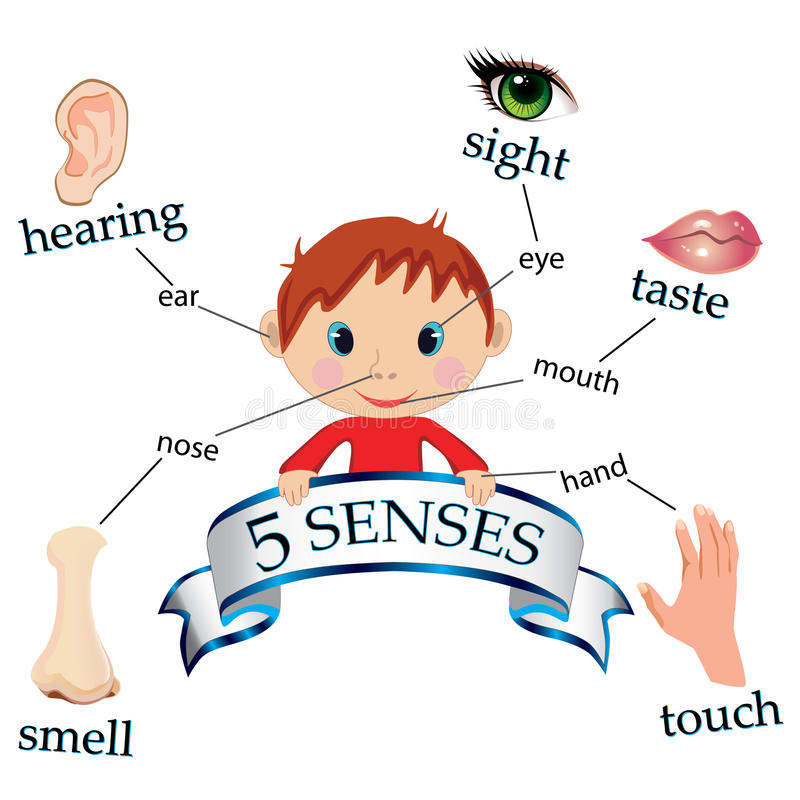 The 5 Senses Clipart 10 Free Cliparts Download Images On Clipground 2023