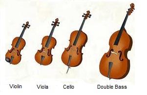 Five stringed instrument clipart 20 free Cliparts | Download images on ...