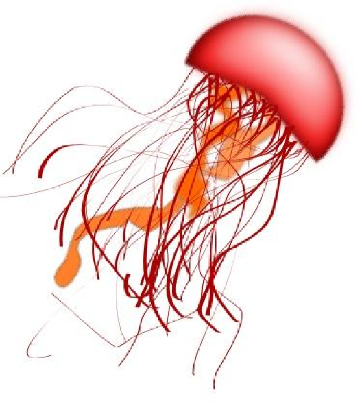 Clipart Pictures Of Jellyfish.