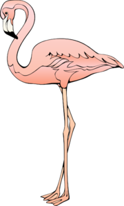 Flamingo 3 Clip Art at Clker.com.