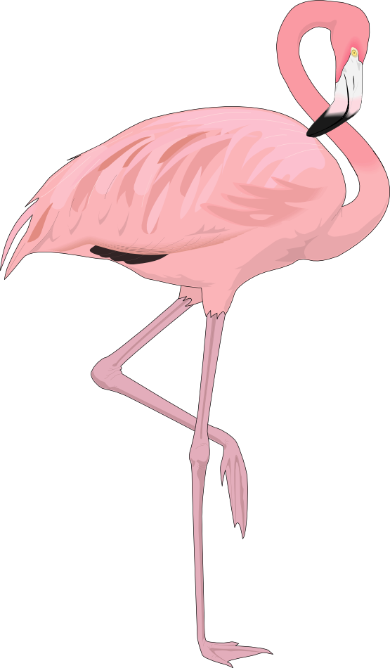 Free to Use & Public Domain Flamingo Clip Art.