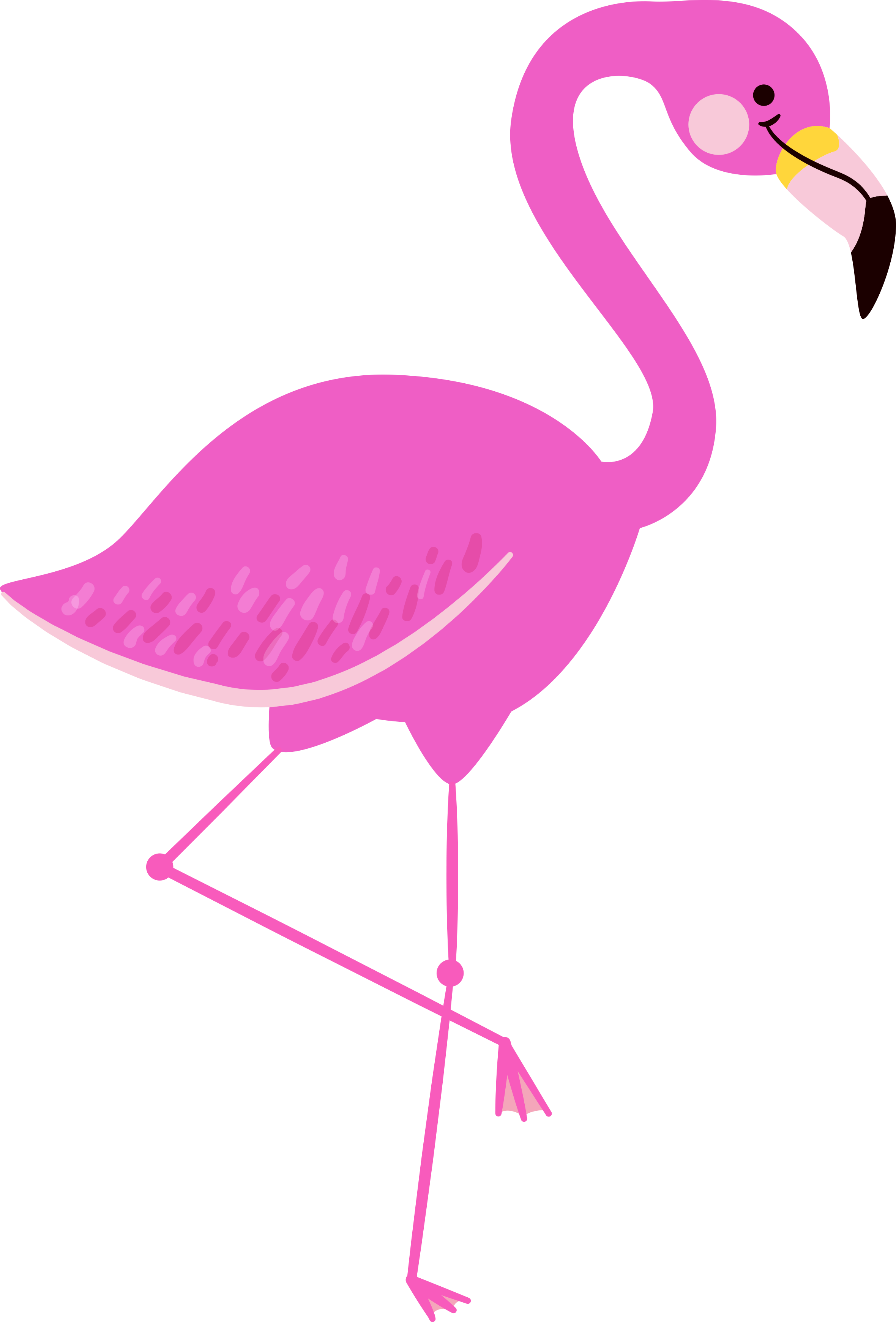 Flamingo clipart transparent background, Picture #1115093.