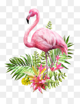 Flamingo PNG.