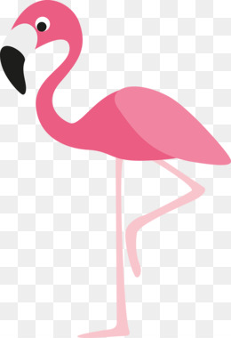 Flamingo Drawing PNG and Flamingo Drawing Transparent.