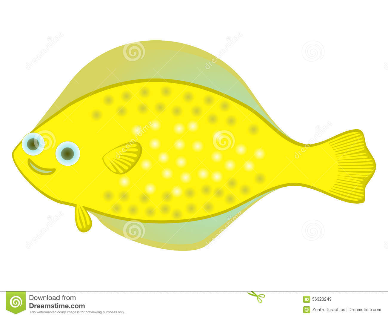 Flatfish Stock Illustrations.