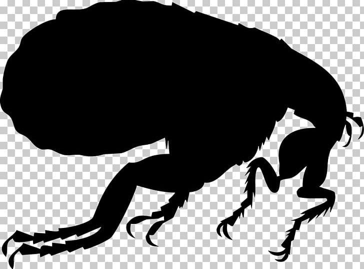 Dog Flea Silhouette Illustration PNG, Clipart, Bird Fleas.