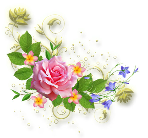 fleur png 10 free Cliparts | Download images on Clipground 2023