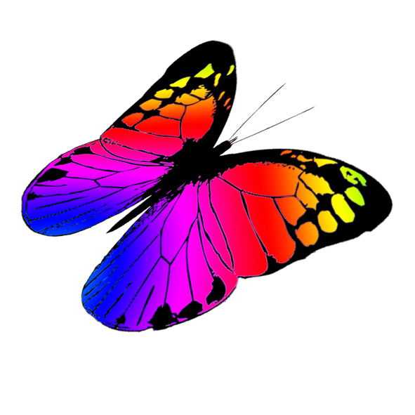 Butterfly Clipart.