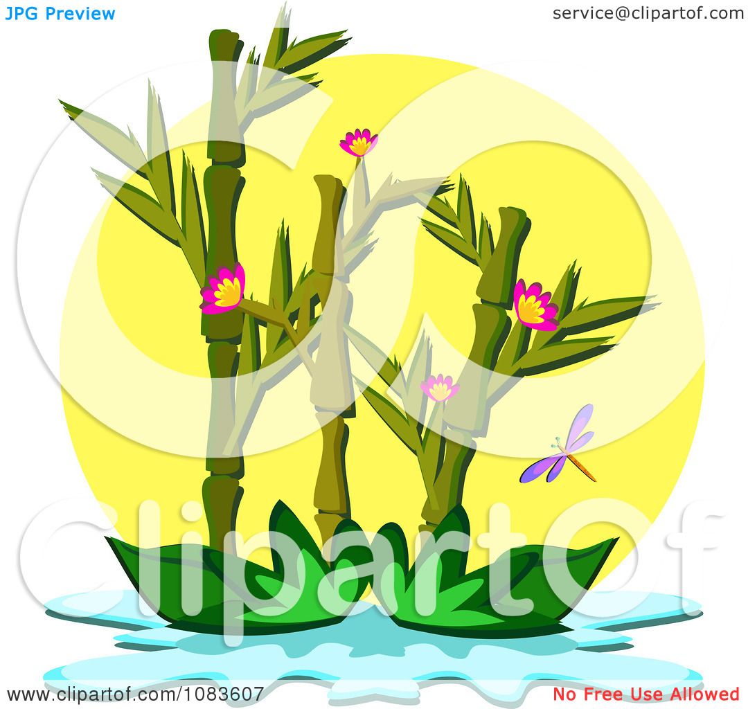 Clipart Bamboo Plant Floating On A Pond.