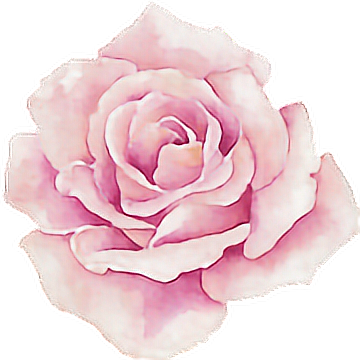 flor rosa clipart 10 free Cliparts | Download images on Clipground 2023