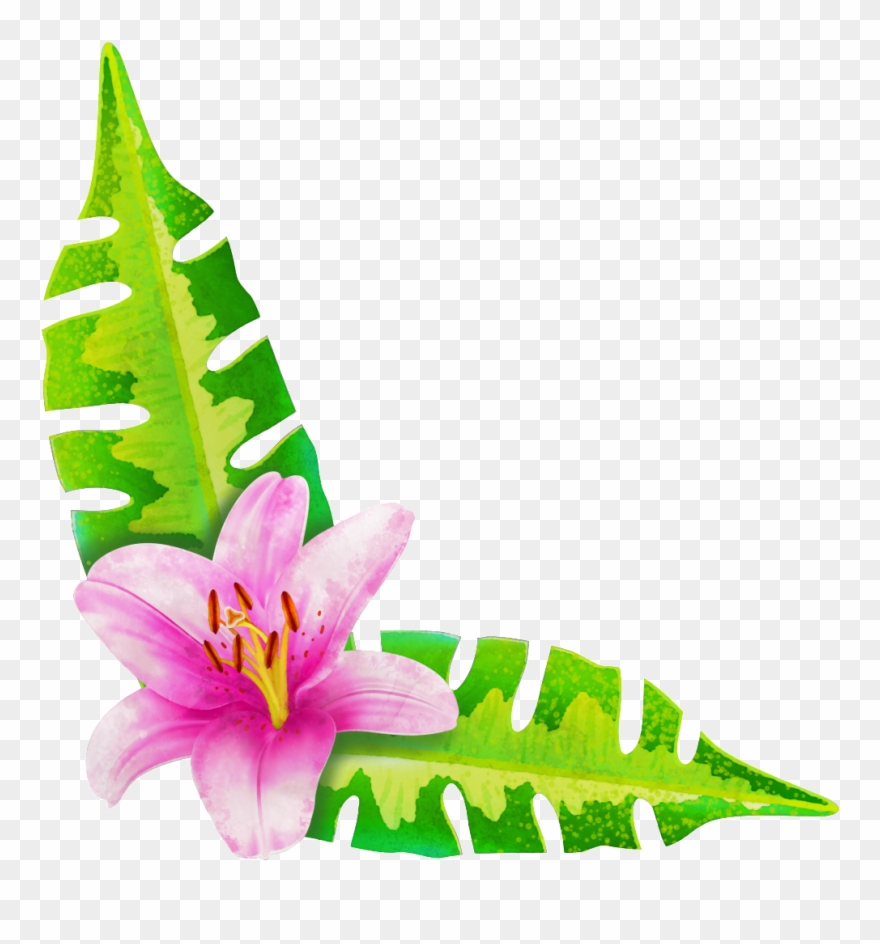 Painted A Flower Two Leaves Png Transparent.