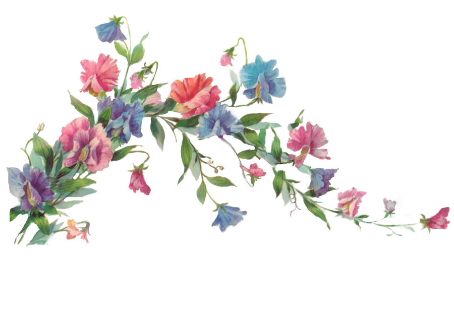 floral transparent png 10 free Cliparts | Download images on Clipground