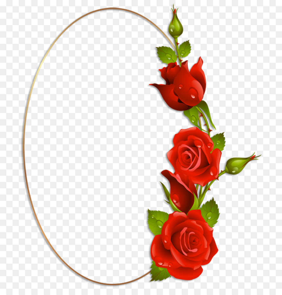 Download flores rojas png clipart Garden roses.