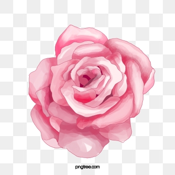 flores rosas png 10 free Cliparts | Download images on Clipground 2024