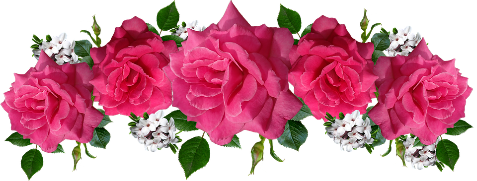 flores rosas png 10 free Cliparts | Download images on Clipground 2024