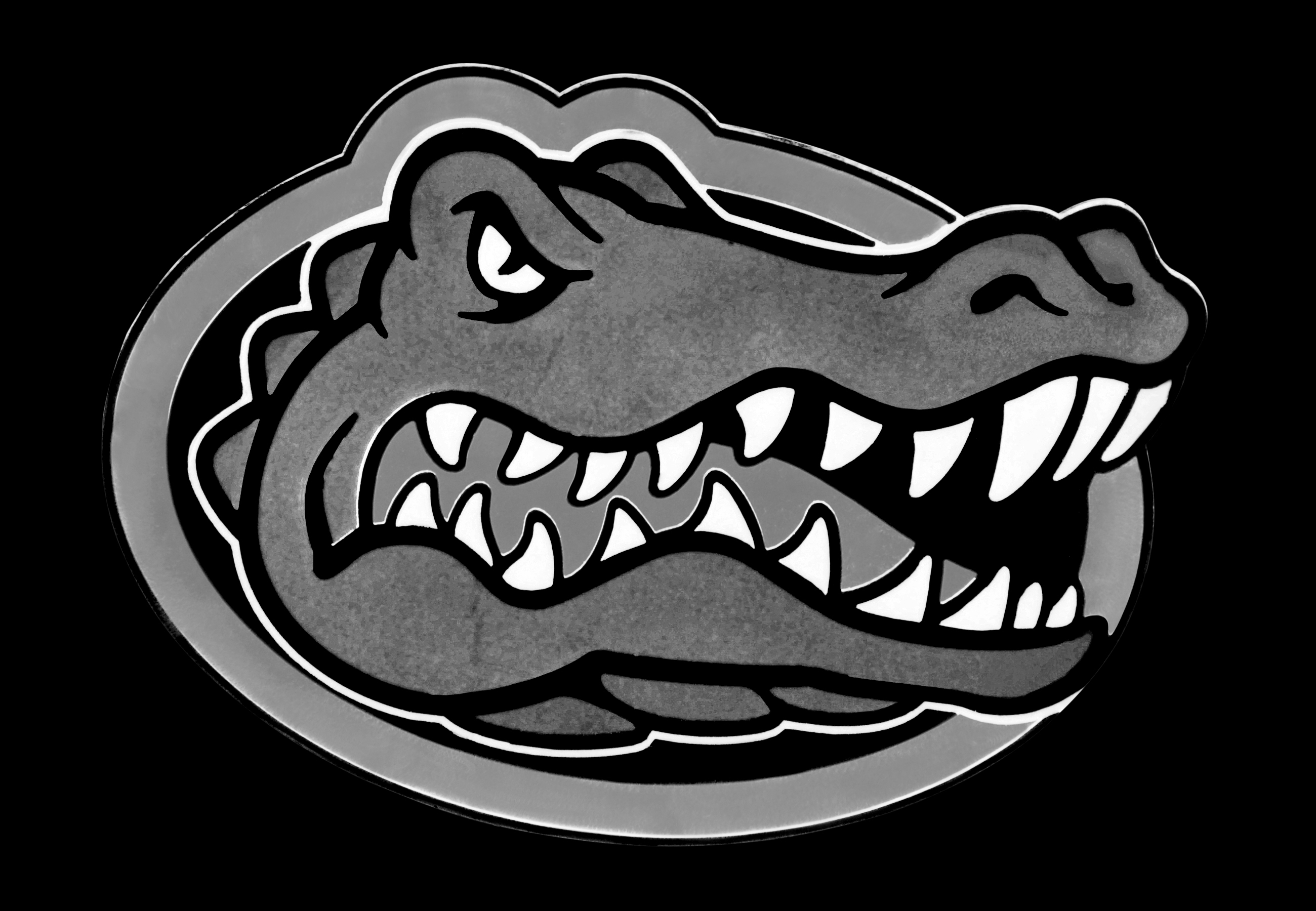 Meaning Florida Gators logo and symbol.